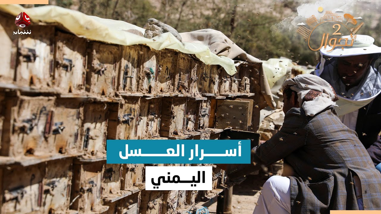 أسرار جودة العسل اليمني وطرق تربية النحل | تجوال 2
