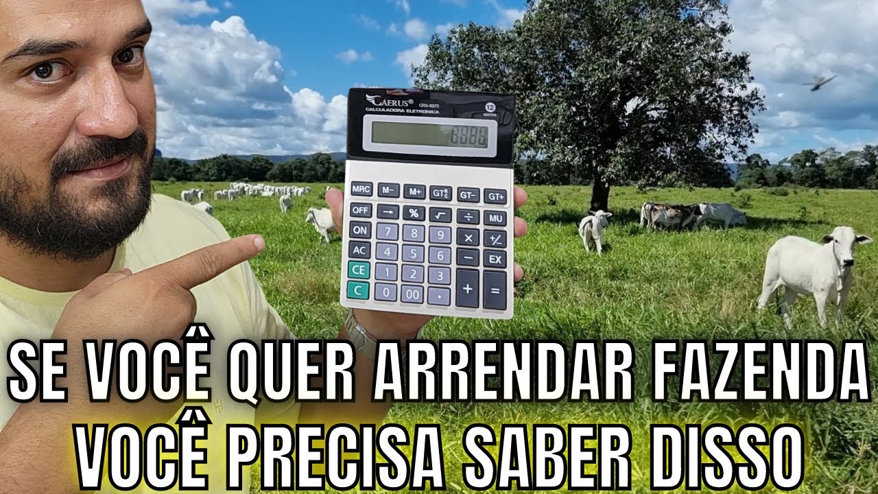 DIFERENÇA ENTRE ARRENDAMENTO E ALUGUEL DE PASTO