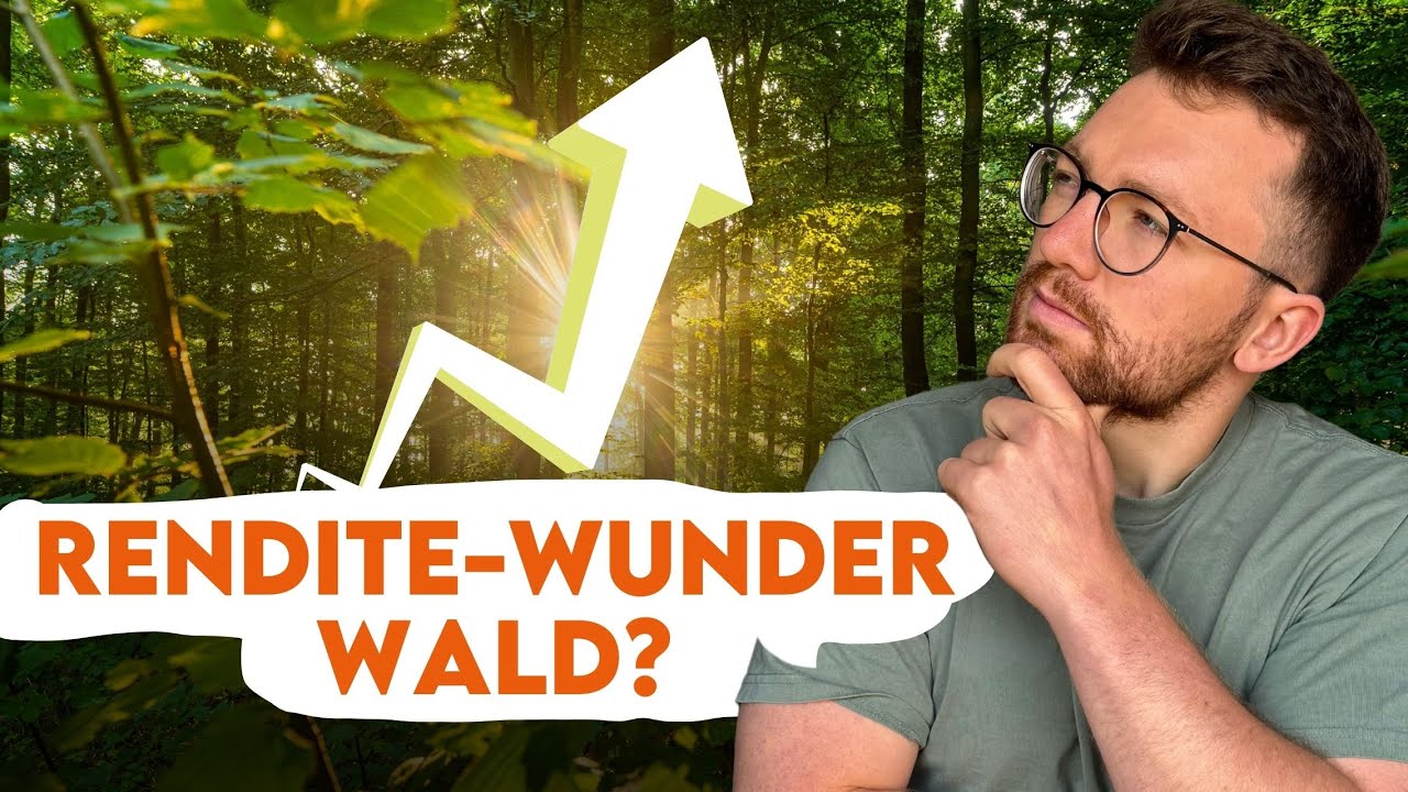 Lohnt sich das Investieren in Wald? - Forst erklärt