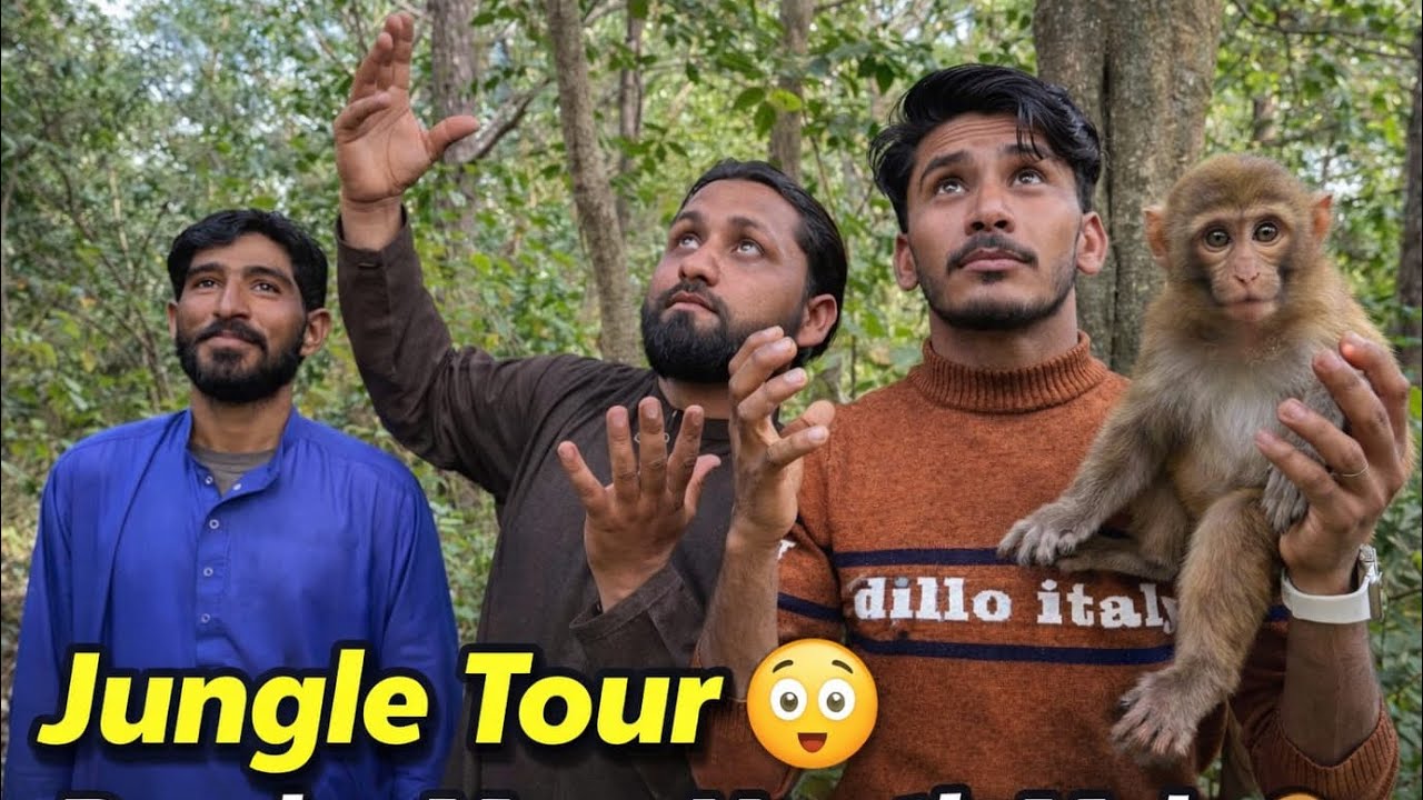 Jungle Tour Vlog 🌿