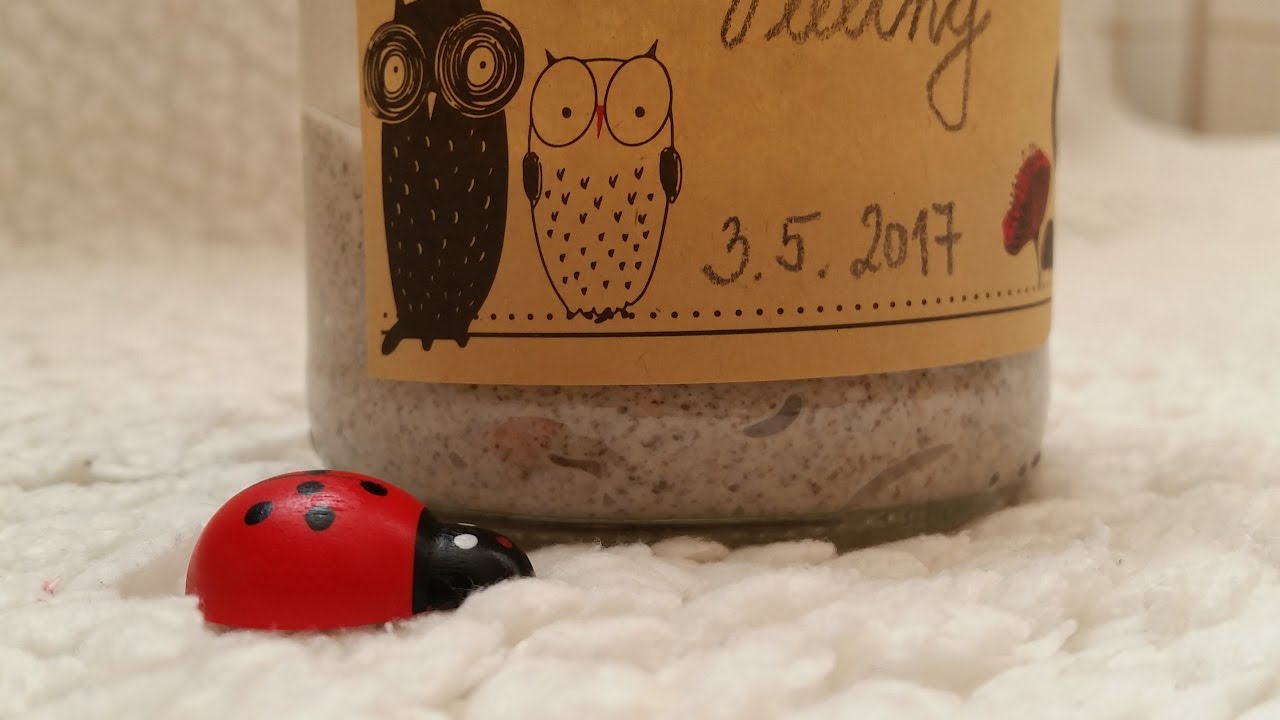 Chia peeling/ domaci / prirodny