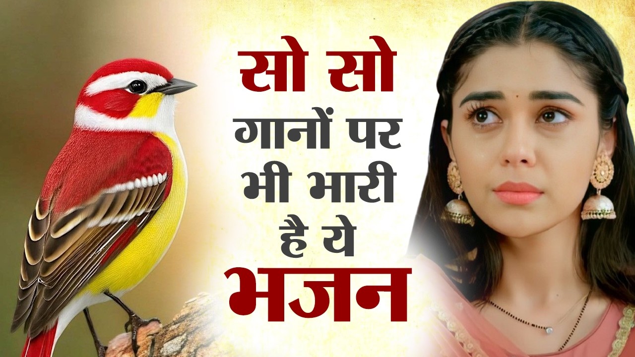 सो सो गानों पर भी भारी है ये भजन | Latest Nirgun Bhajan | Nonstop Nirgun Bhajan 2026 | Nirgun Gana