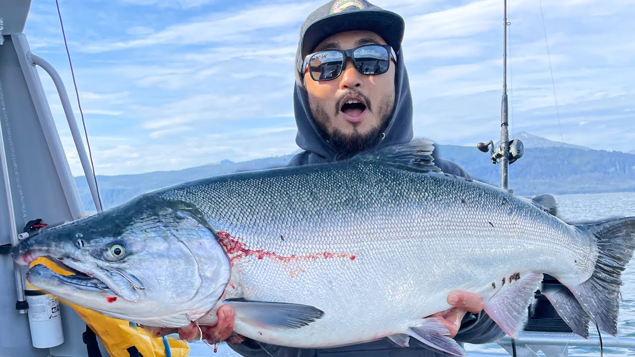 BIGGEST COHO SALMON I've Ever Seen