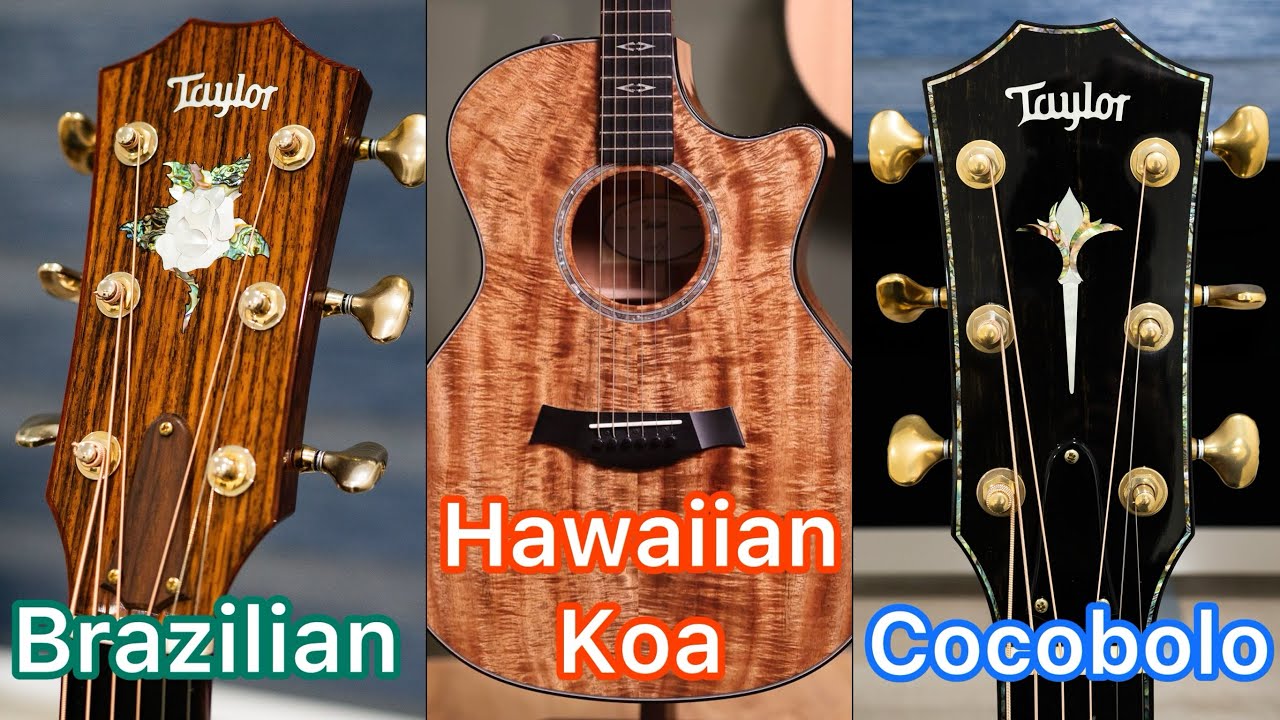 Hawaiian Koa Vs Cocobolo Vs Brazilian - Taylor Guitar Comparison
