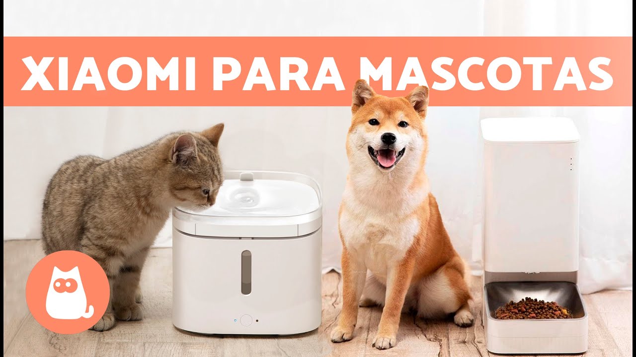 COMEDERO y BEBEDERO automáticos de XIAOMI para PERROS y GATOS 🐶🐱 (Características y Beneficios)
