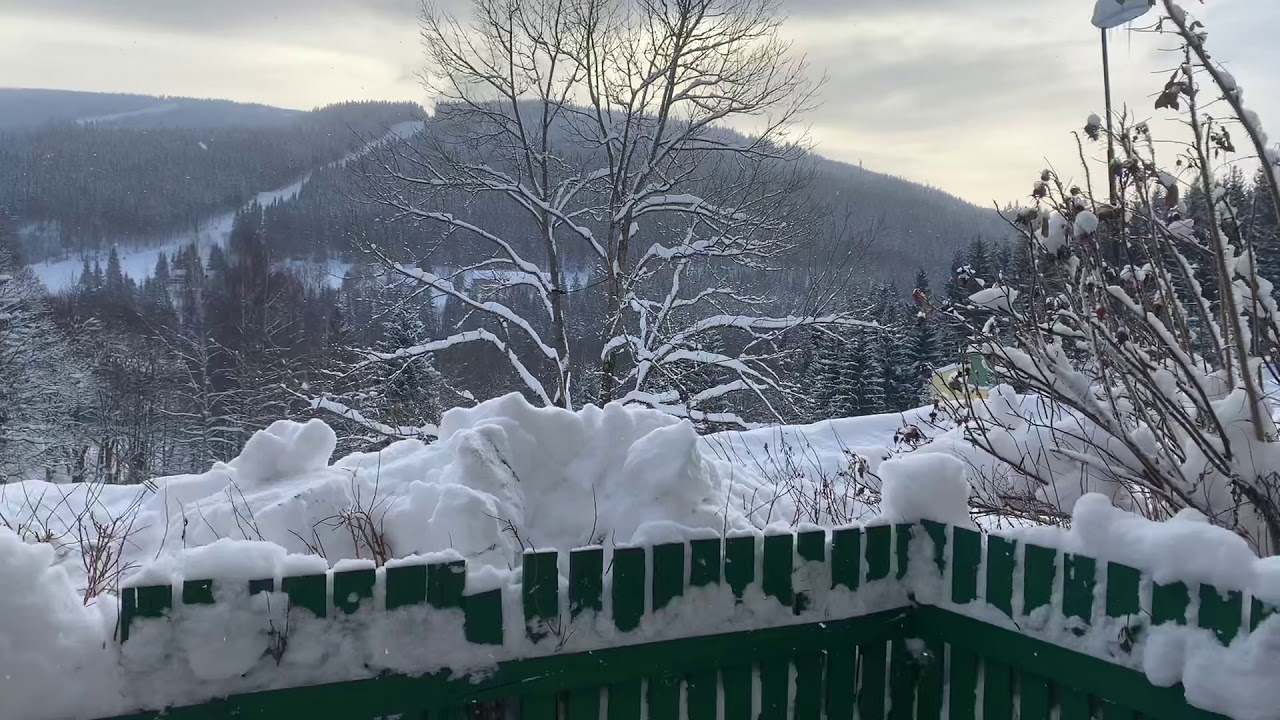 Skialpy Krkonoše II.🎿 (16.1.2021)  |Labský důl| Labská| Martinova bouda| Brádlerovy boudy | Špindl