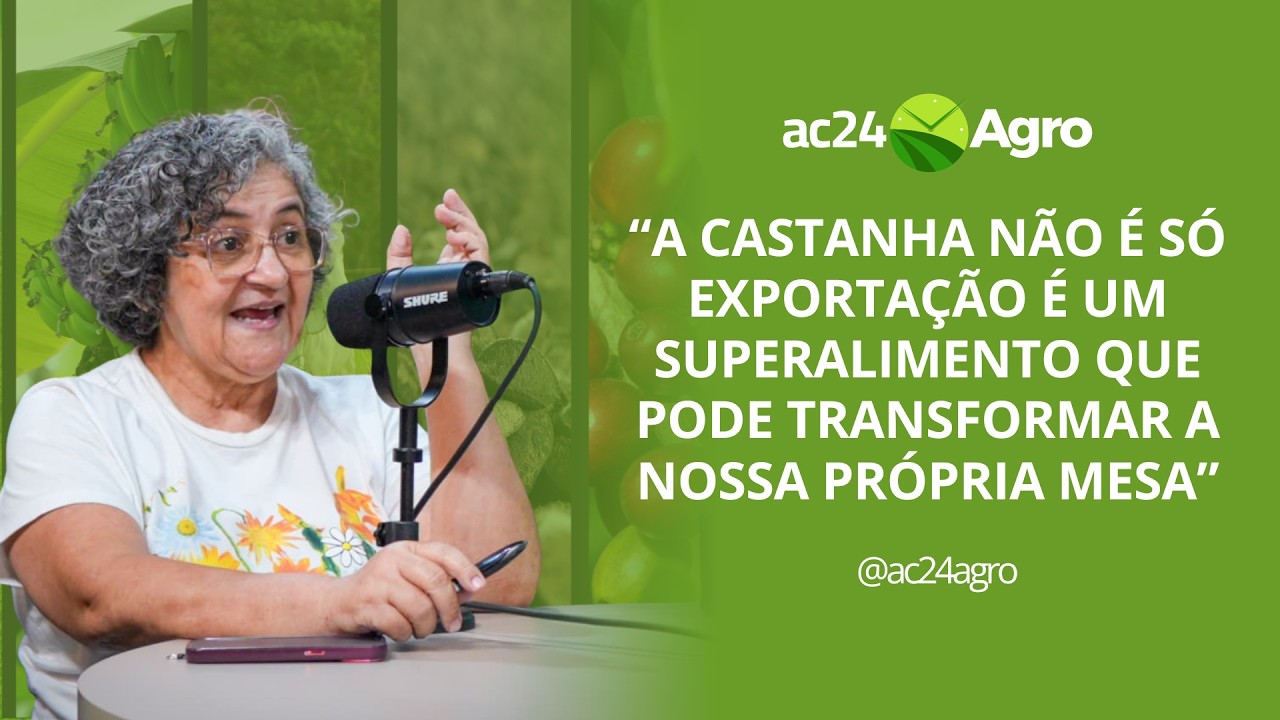 Embrapa desenvolve mingau e novos produtos para valorizar a castanha-do-brasil