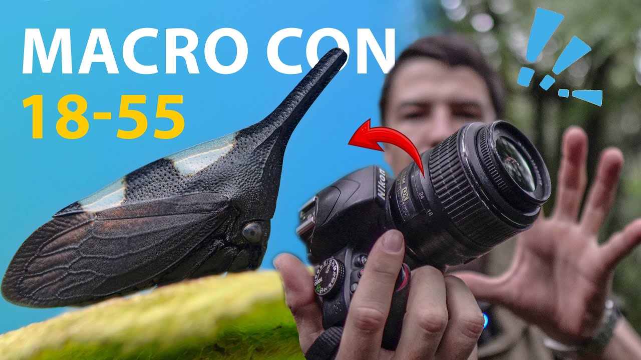 ¿Fotos Macro con un Lente 18-55? ¡No Vas a Creer el Resultado!
