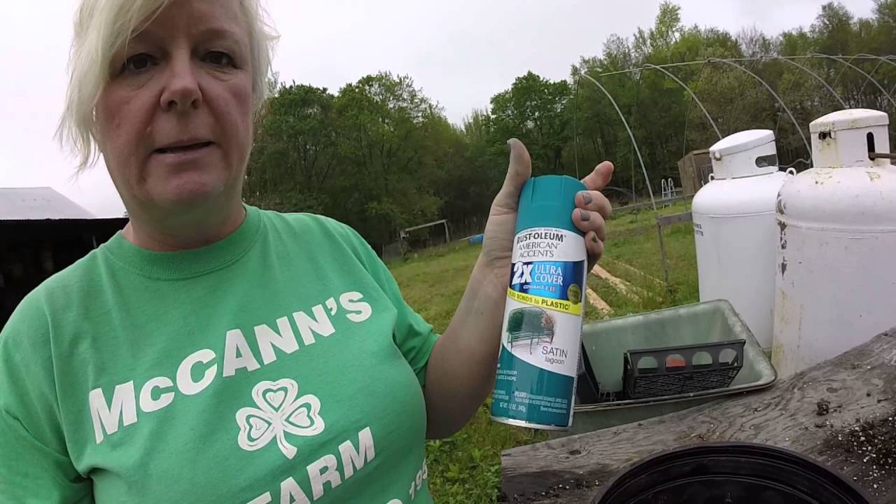 Container Gardening and Spray Paint