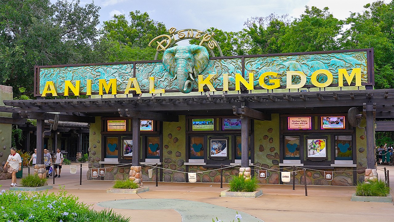 Animal Kingdom Afternoon Walkthrough at Walt Disney World [4K POV]