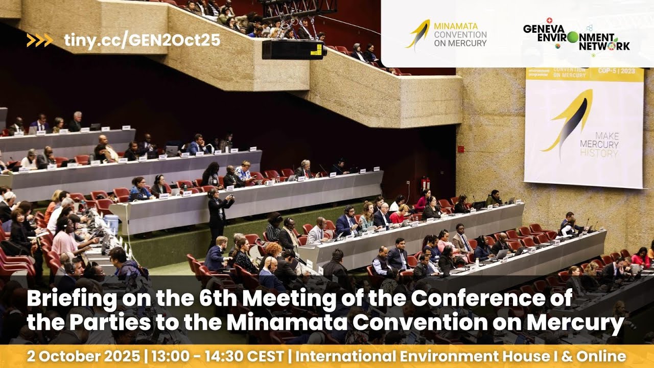 Briefing on the 6th Meeting of the Conference of the Parties to the Minamata Convention on Mercury