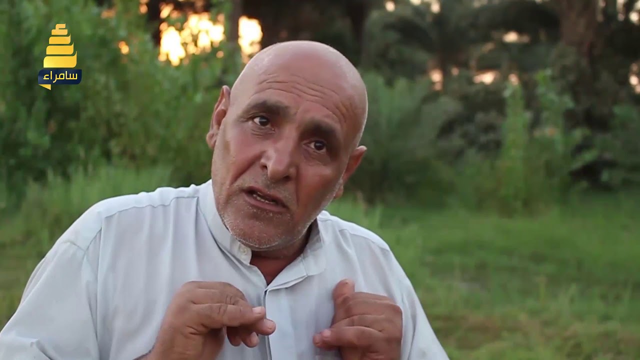 كيفية زراعة فاكهة التين في محافظة الديوانية