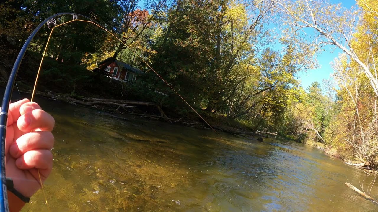 Fly Fishing The Pere Marquette River