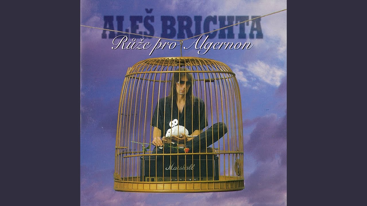 Nejsem ten, o kom se ti zdá