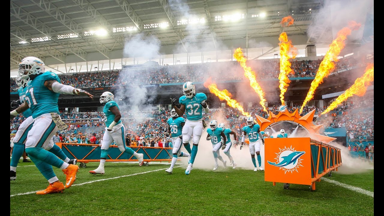 Miami Dolphins 2017 - 2018 Pump Up (THIS NEEDS TO BE SEEN)