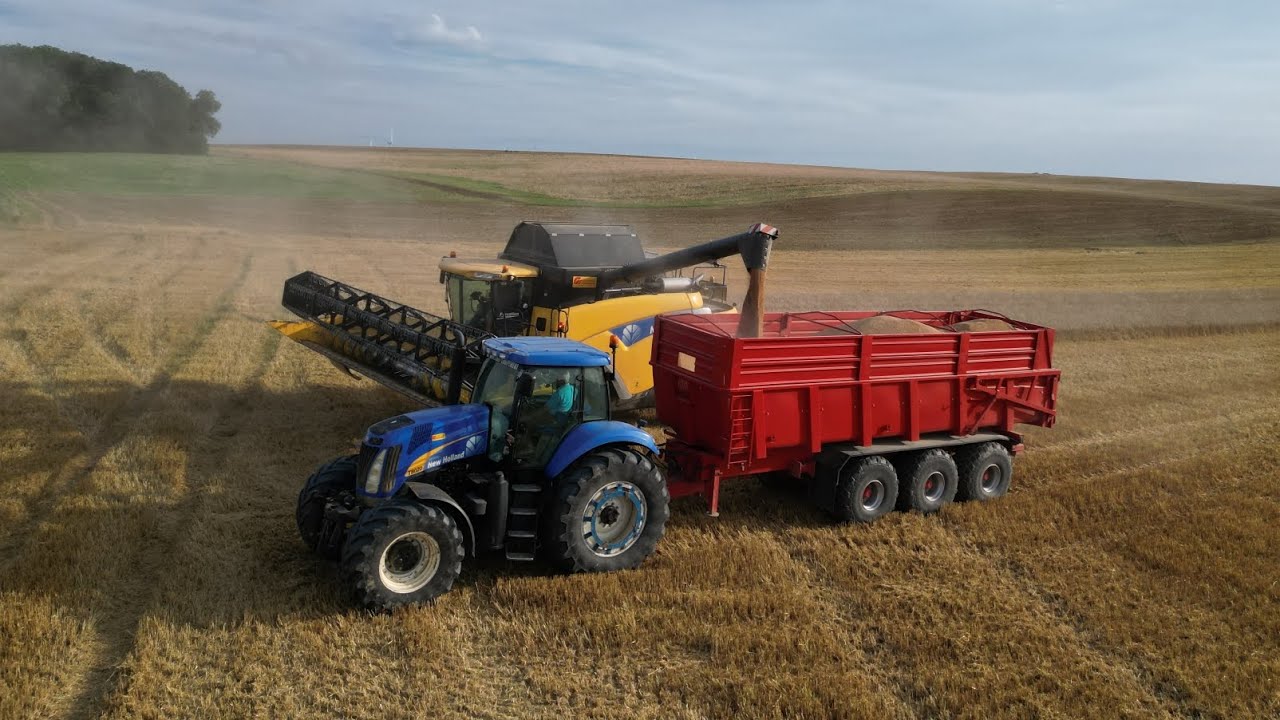Moisson 2024 (CR9080)