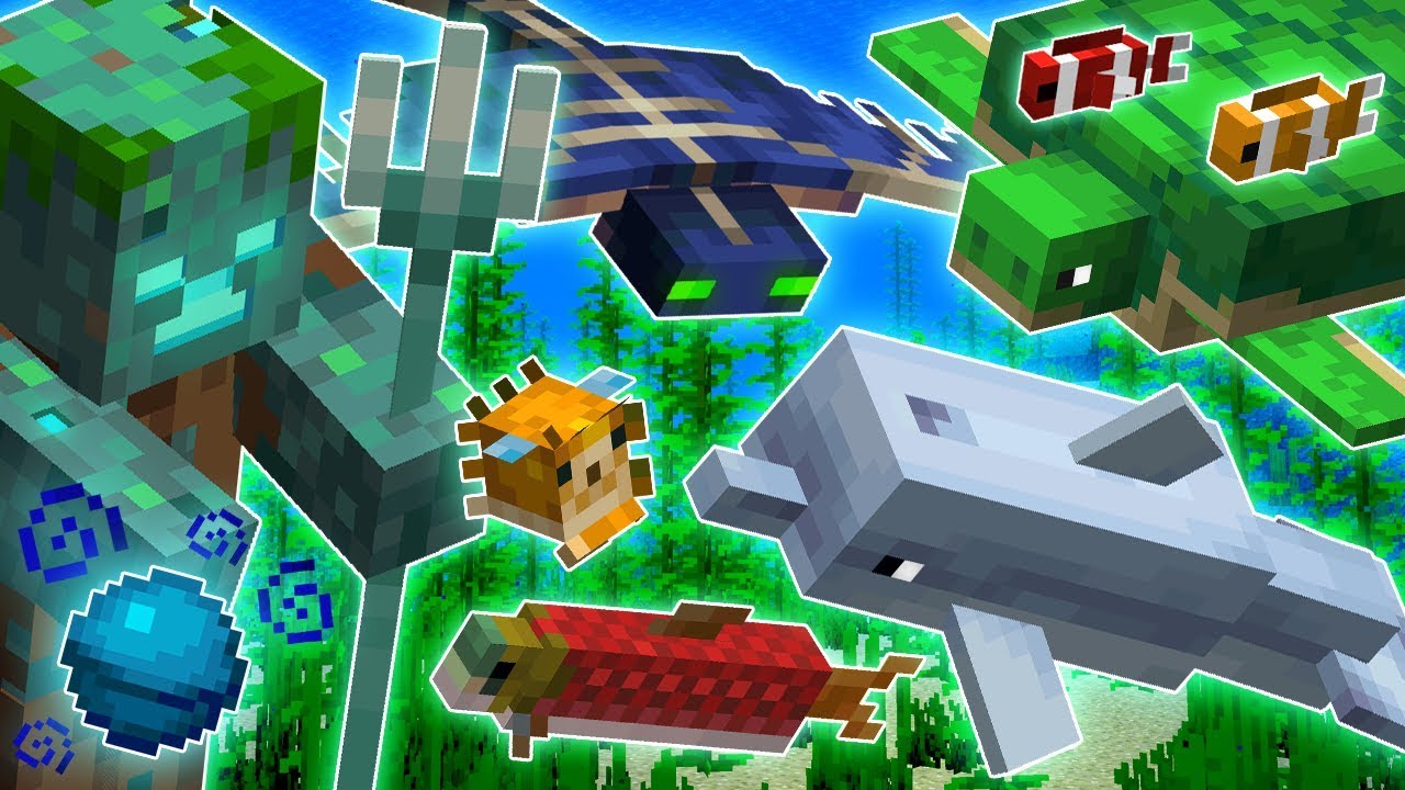 Everything You Need To Know About UPDATE AQUATIC In Minecraft!