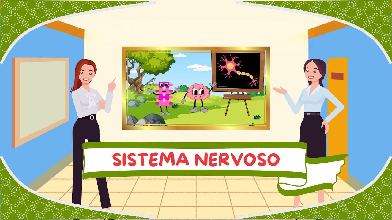 Sistema Nervoso - Anatomia per bambini