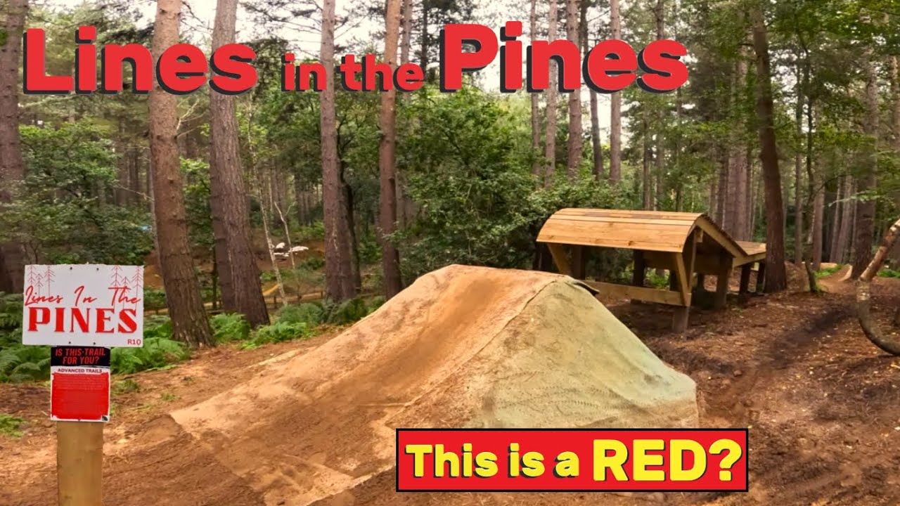 Lines in the Pines - Chicksands Bike Park