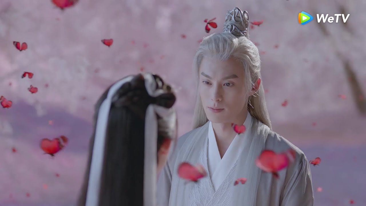 雪阡寻三唤不应，青青极速吸纳灵力不惜影响寿元出去寻找