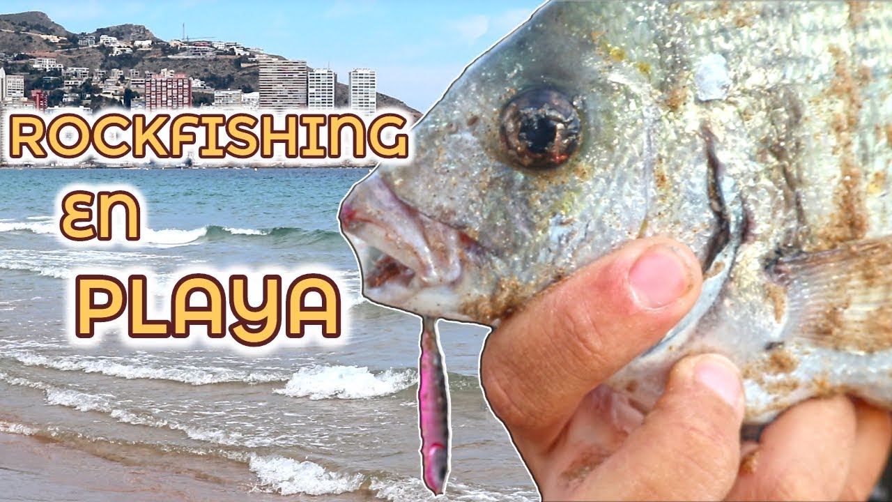PESCA a ROCKFISHING desde PLAYA | ElPOPPERfisher | Salida 4