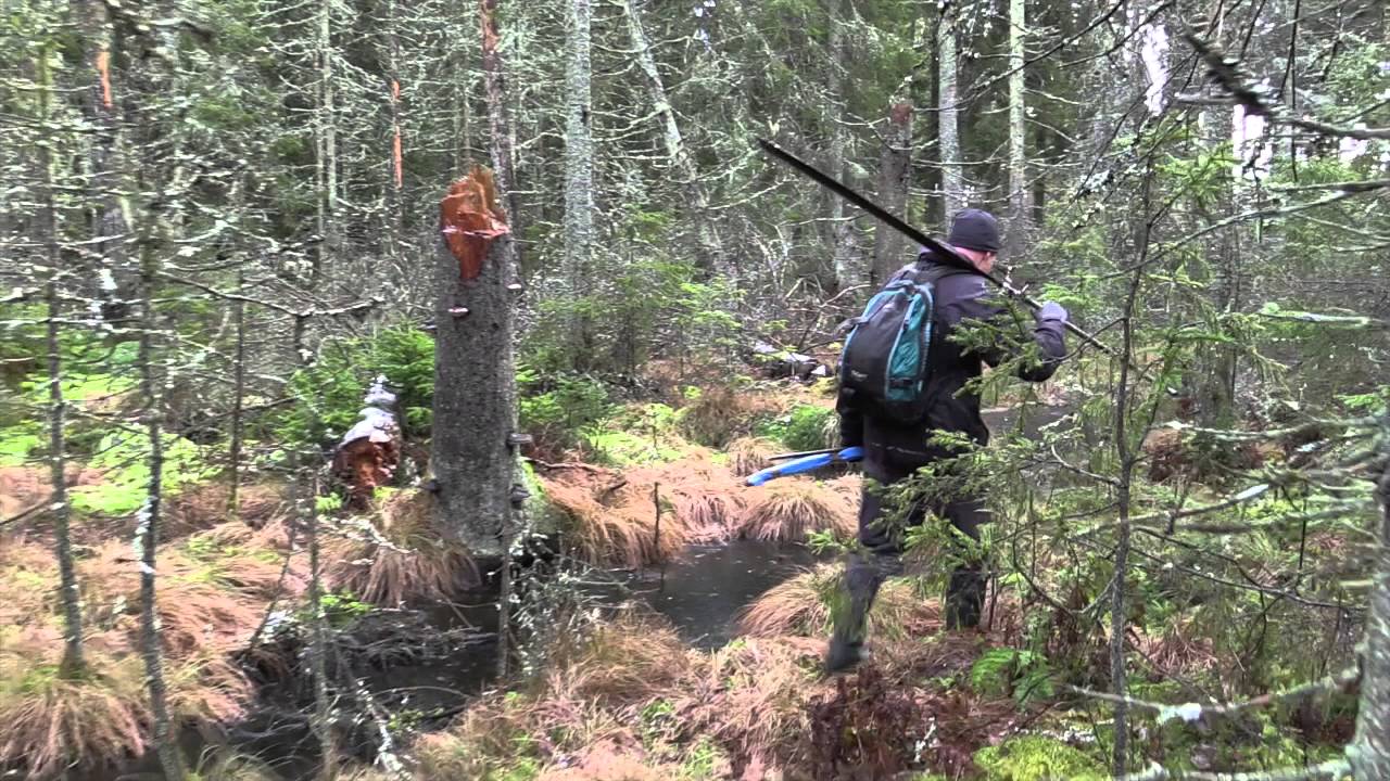 Arkeologisk förundersökning av fossil åker i Sörängen, Nässjö