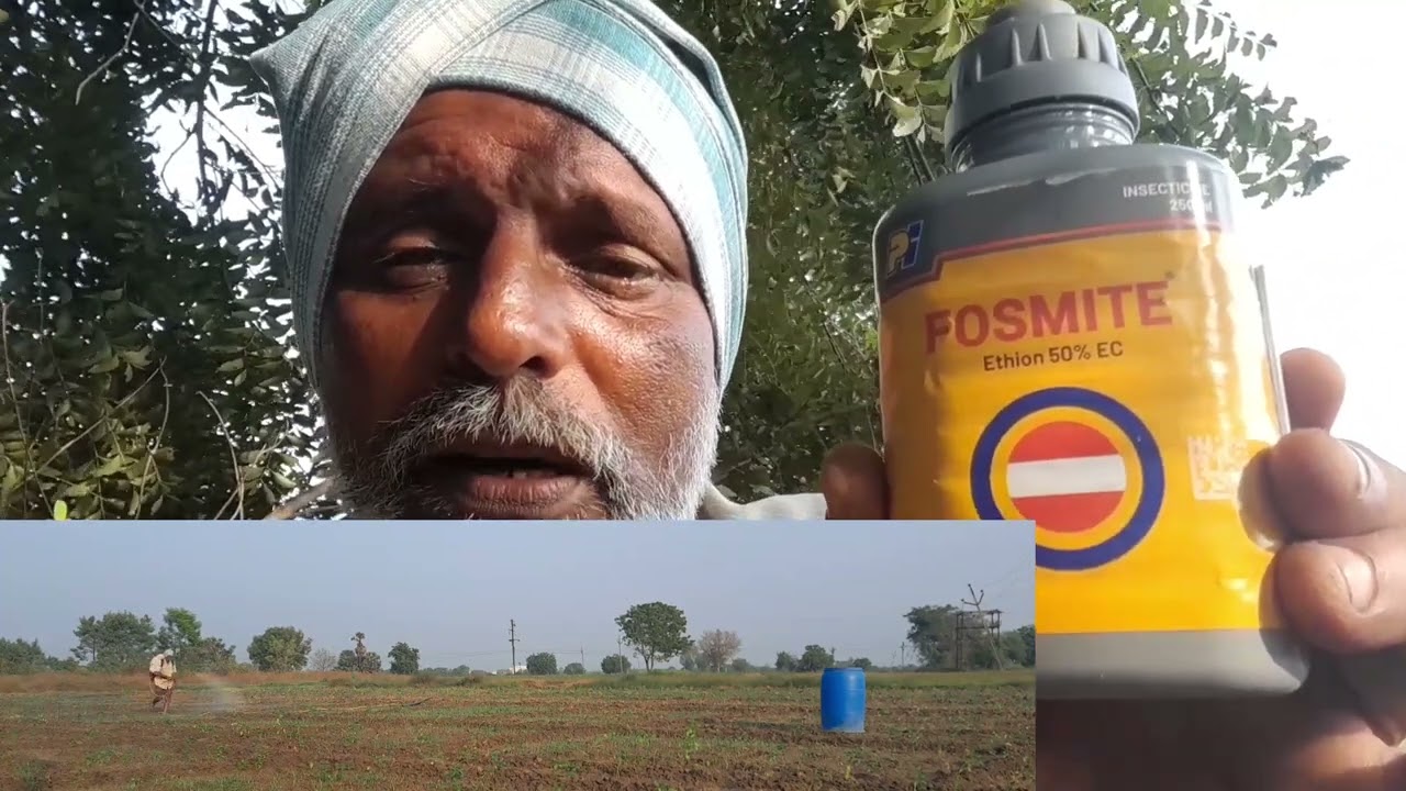 21 January 2023 నామిరప తోటలో రెండవ పిచికారీ //fosmite//saad//nano uria