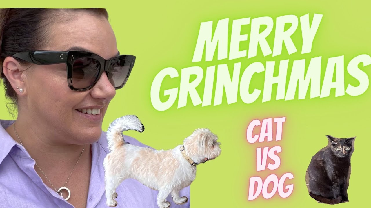 VLOGMAS DAY 24 - OUR FINAL DESTINATION & A STANDOFF