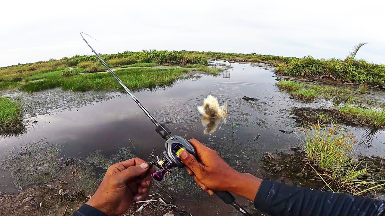 MANCING DISINI ASAL LEMPAR AJA DISAMBAR IKAN !!! mancing dibulan puasa bagian 6
