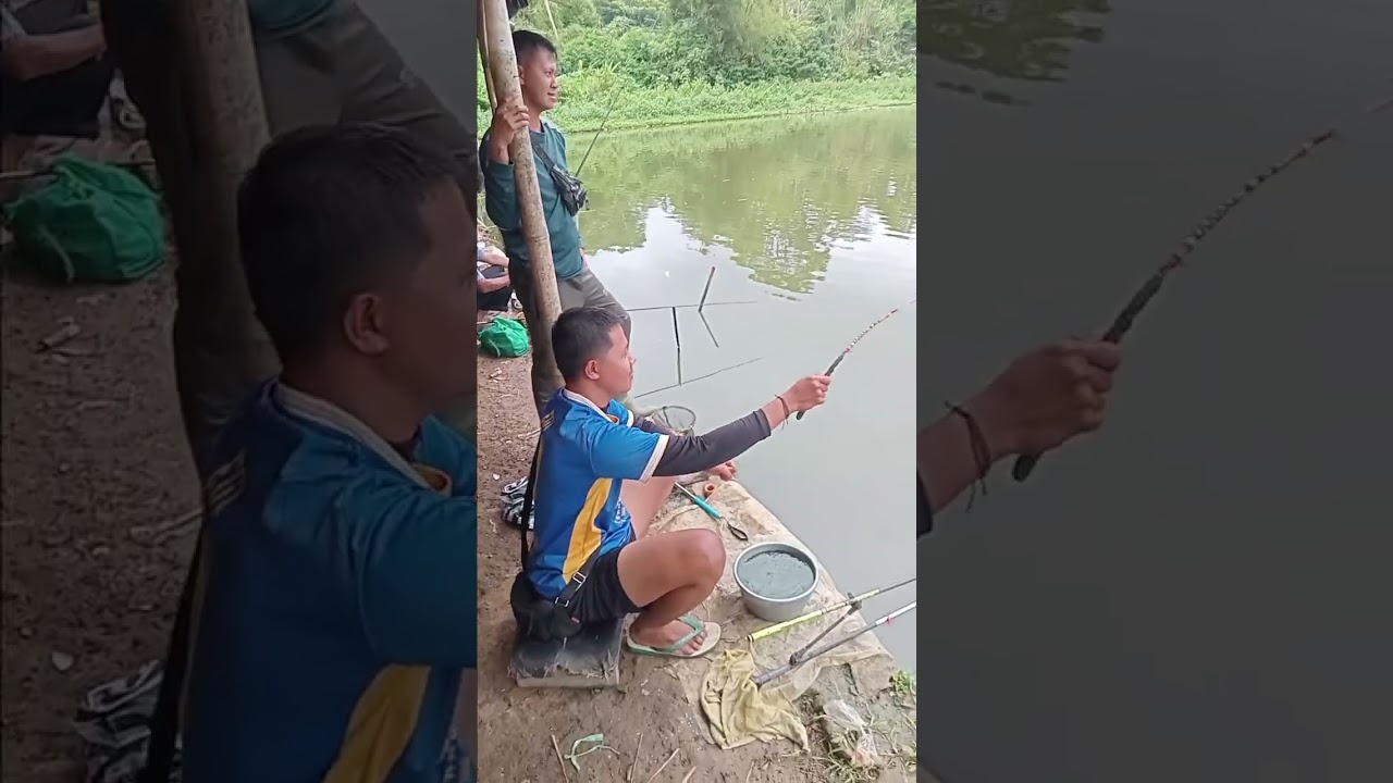 Mancing maniya mantap bayak cintaya ikan nila🎣