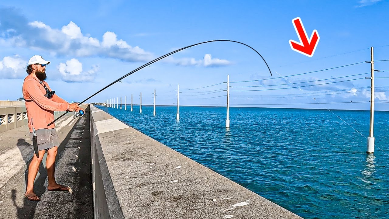 Dropping LIVE Bait Under The Worlds LONGEST Fishing Bridge! (Florida Keys Bridge Fishing)