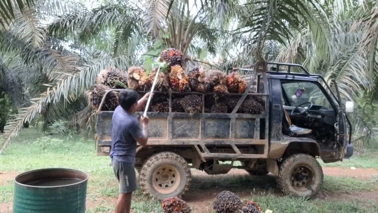 Pertama dalam sejarah petak dari atas muatan l300