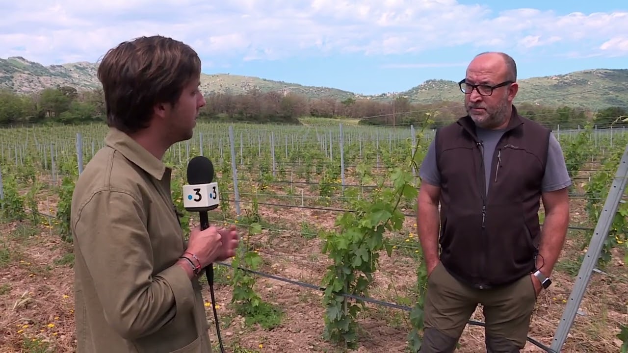 Per Sti Lochi in Reginu (4/5) : Le domaine Renucci