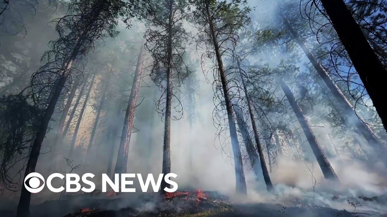 How a century-old policy has worsened America's wildfires