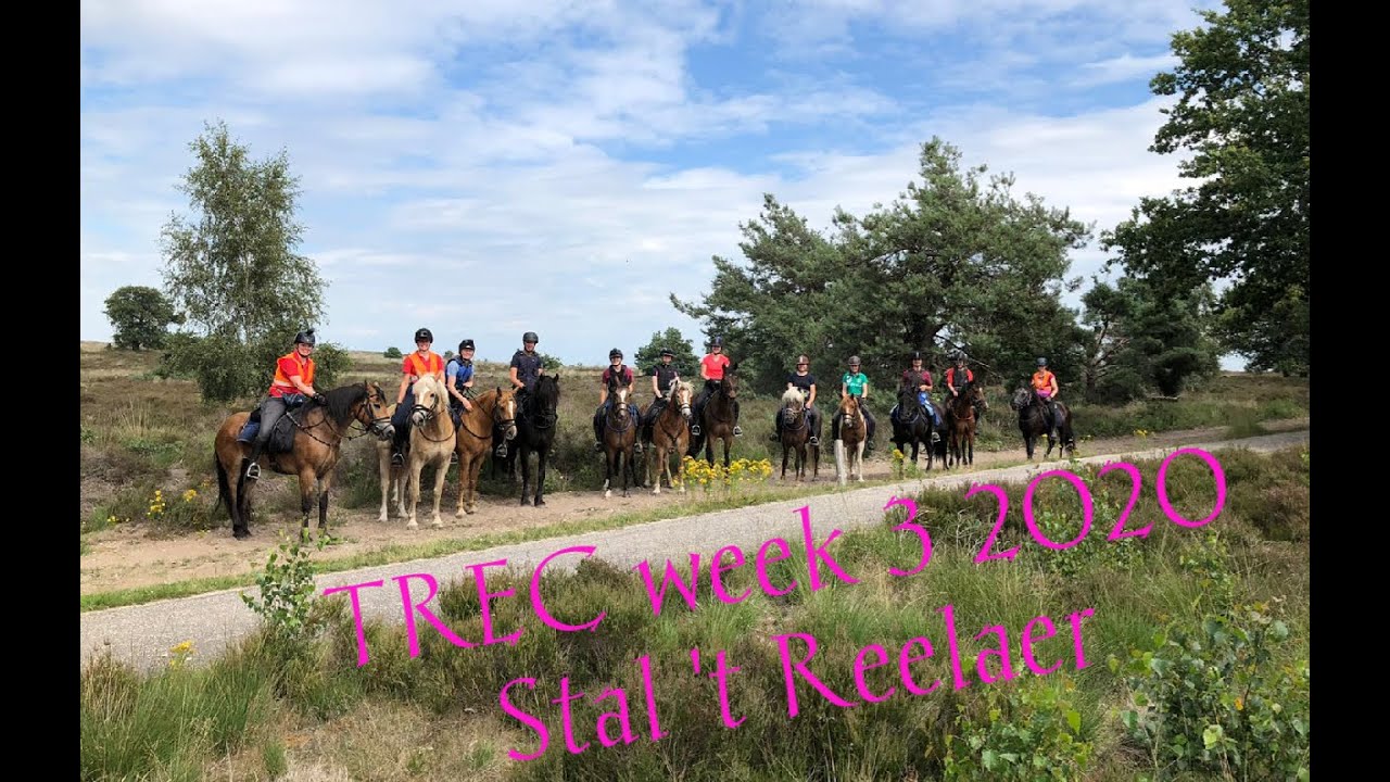 TREC week 3 2020 | Stal 't Reelaer