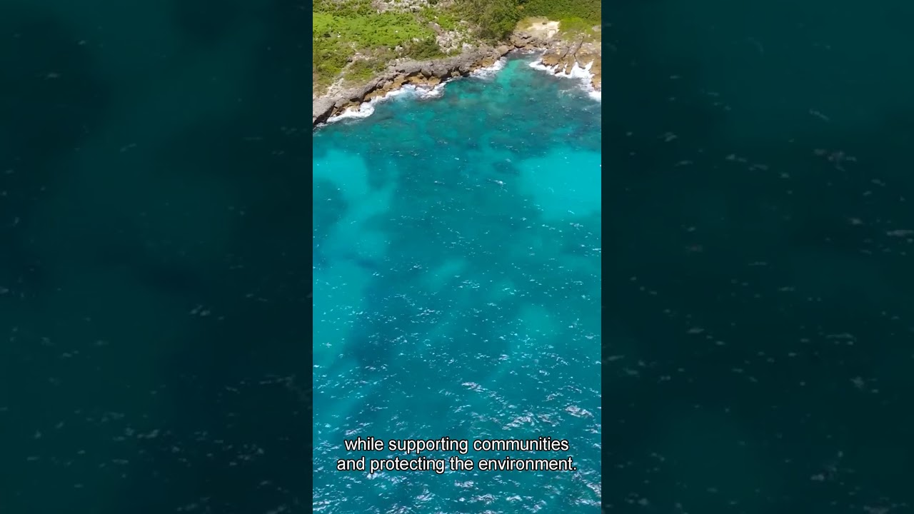 Turismo Responsable/Responsible Tourism 