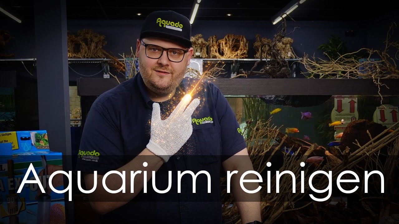 Aquarium reinigen - Wie und womit säubere ich mein Aquarium richtig? | Aquado-Zoo Dortmund