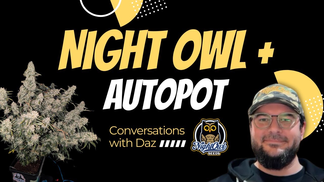Night Owl + AutoPot - More with Daz!