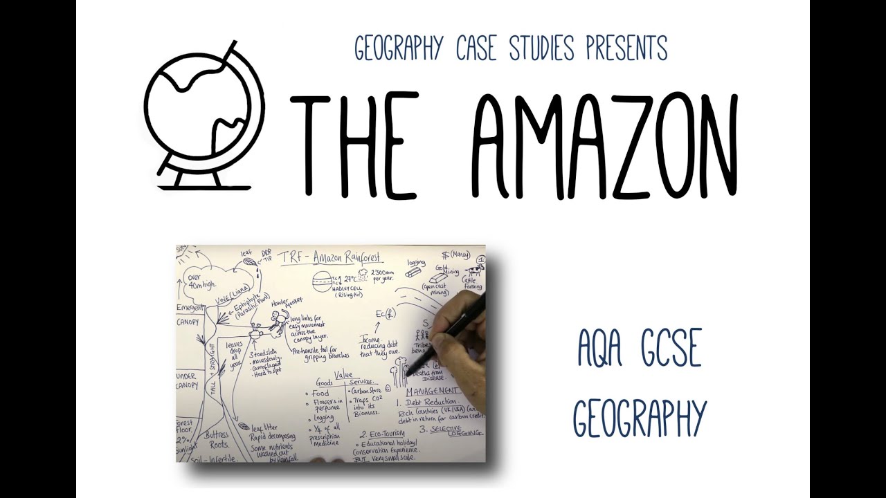 The Amazon Rainforest