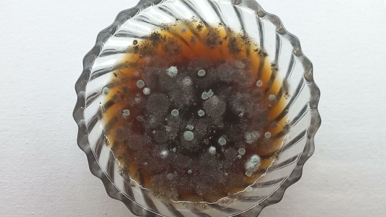 Cold Drink for 35 days