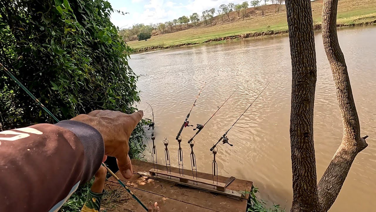 Pescaria de Piapara e curimba não dá pra acreditar se não fosse gravado teve até mandi gigante 
