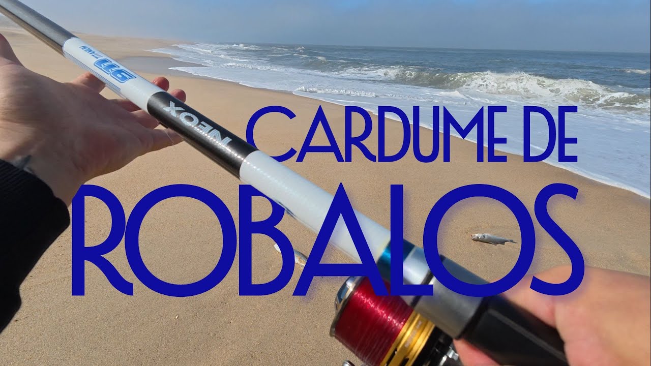 SURFCASTING ROBALOS - O CARDUME APARECEU!