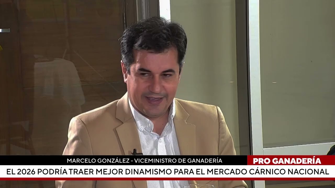 El 2026 podría traer mejor dinamismo para el mercado cárnico nacional