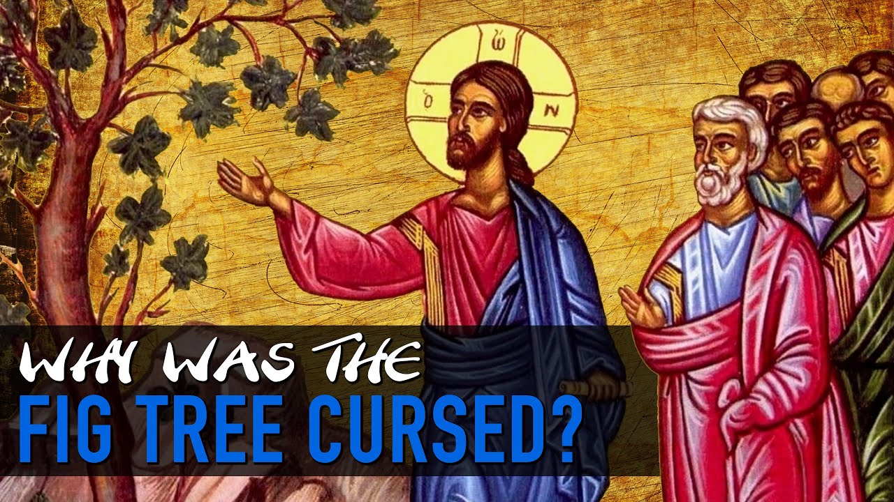 Why Did Jesus Curse the Fig Tree?