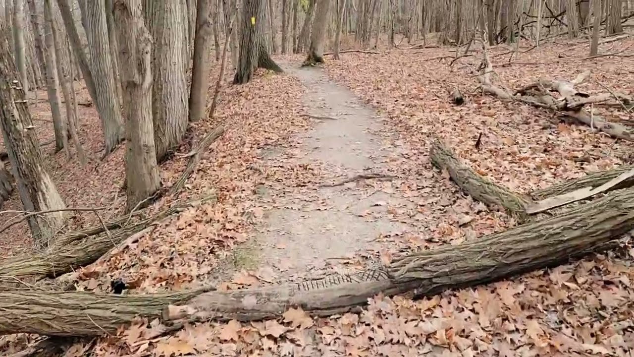 Hiking the Finger Lakes Trails