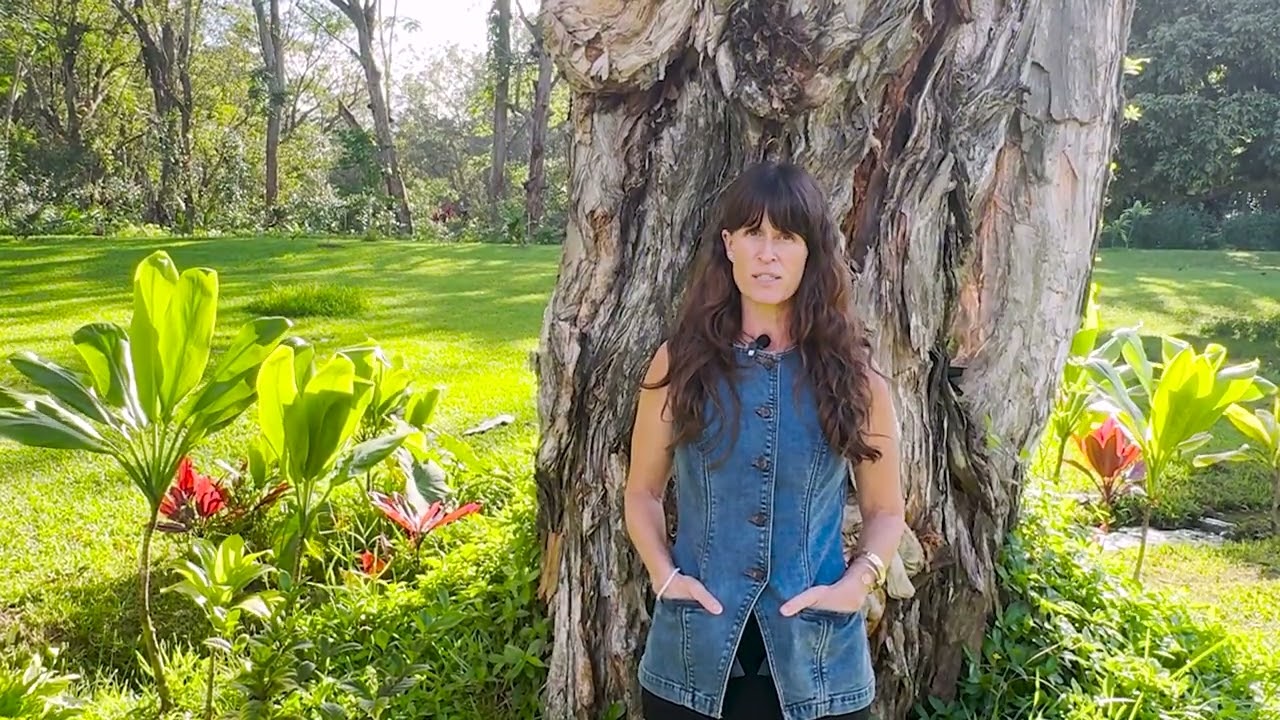 Regenerative Tourism: Common Ground, Kauai Hawaii