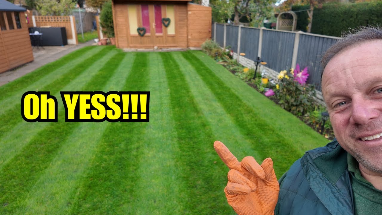 Добавляем глубокий темно-зеленый цвет в мой газон