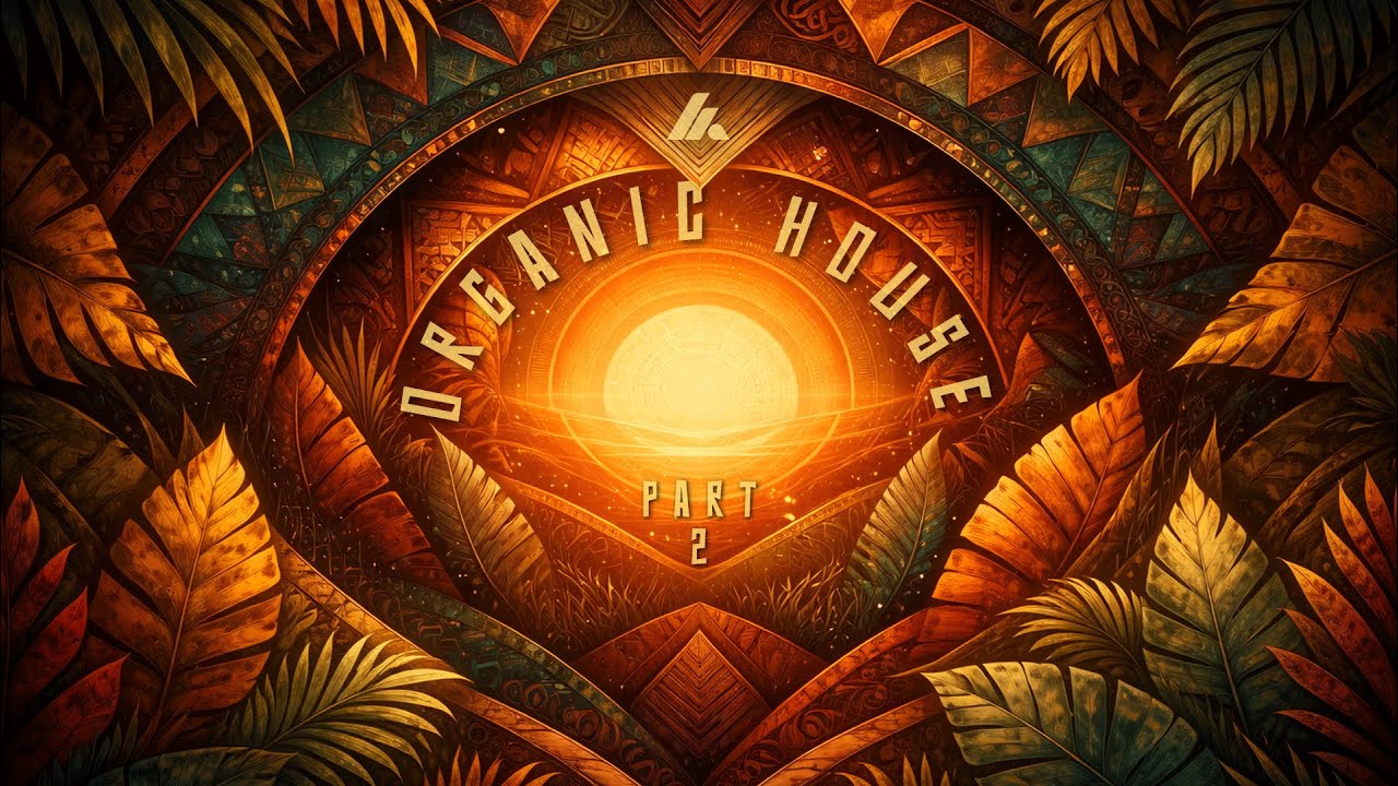 Organic House Journey 2026 | Part 2