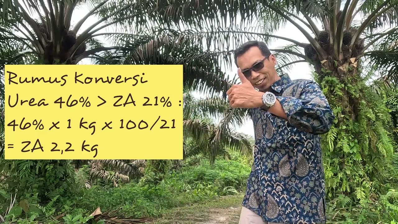 Jadwal Masuk Pupuk Phospat Capaian Produksi 40 ton/Ha/Thn||Konversi Dosis Pupuk TSP Ke Rock Phospat