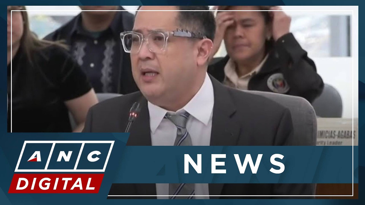 Suntay makes lewd remarks during House impeachment hearing | ANC